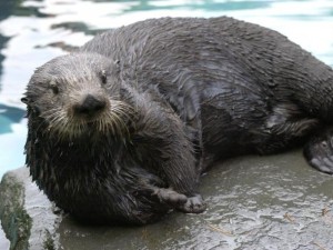 enhanced-buzz-12345-1379702994-6